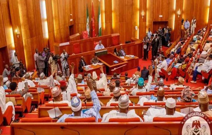 Senate-Nigeria-2-oyHjuH.jpeg