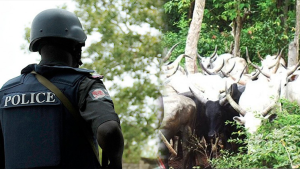 Police-and-cow