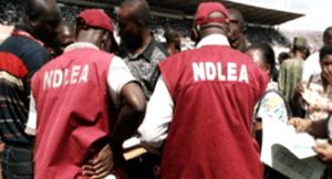 19225640_NDLEA_jpg6f269092438969a9720d89957ae4e4b0