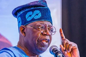 19245673_tinubu3e1745437442913_webp_webp2a3ed3fd120d452a8acf4ee37f2b7373