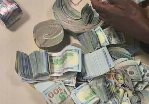 19281519_seizeddollars_webp70b1d5795b2fbc60595d2c65d851d087