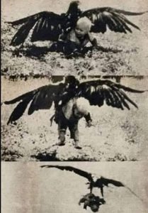 19341856_fbimg1749721080621_jpega050c788c268e919f2c81af3ef286625
